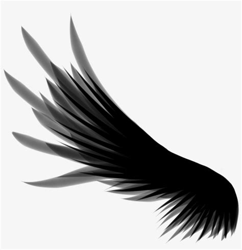 Wing PNG, Vector And Transparent Clipart Images.